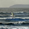 Bexhill Windsurfer