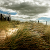 Dunes Norfolk
