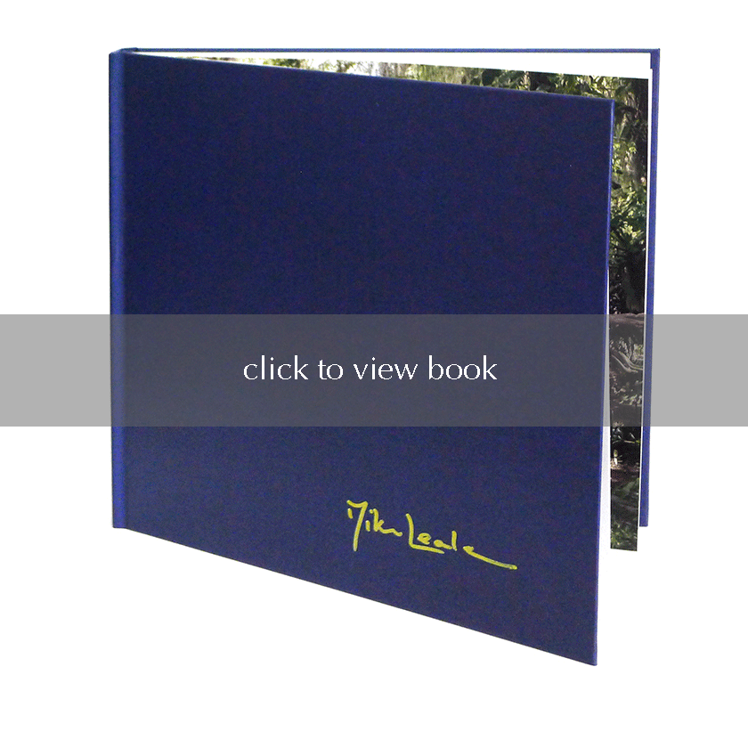 example page from Mike Leale's book