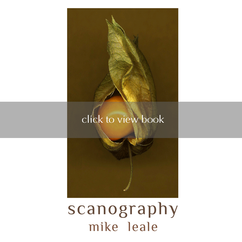 example page from Mike Leale's book