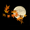 autumn moon